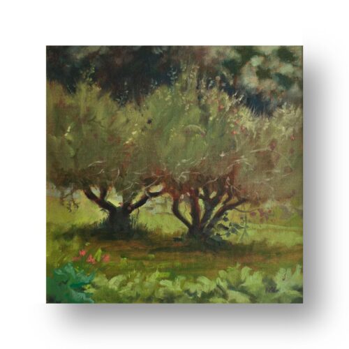 orchard trees II